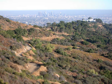 Hollywood Hills